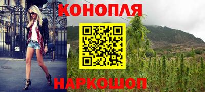 крисы Заводоуковск